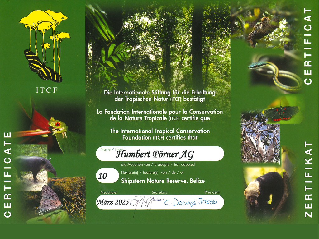 Adoption von 10 Hektaren Wald in Belize