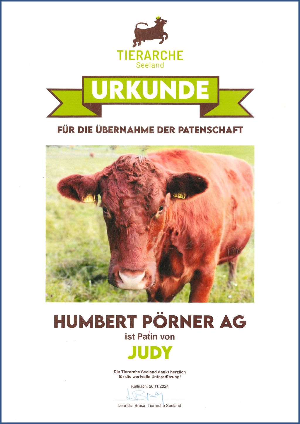 Patenschaft von Judy der Braunvieh Kuh