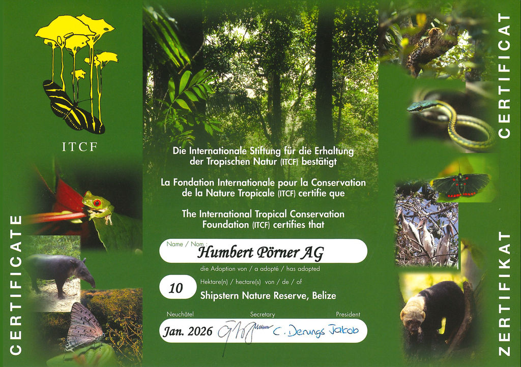 Adoption von 10 Hektaren Wald in Belize