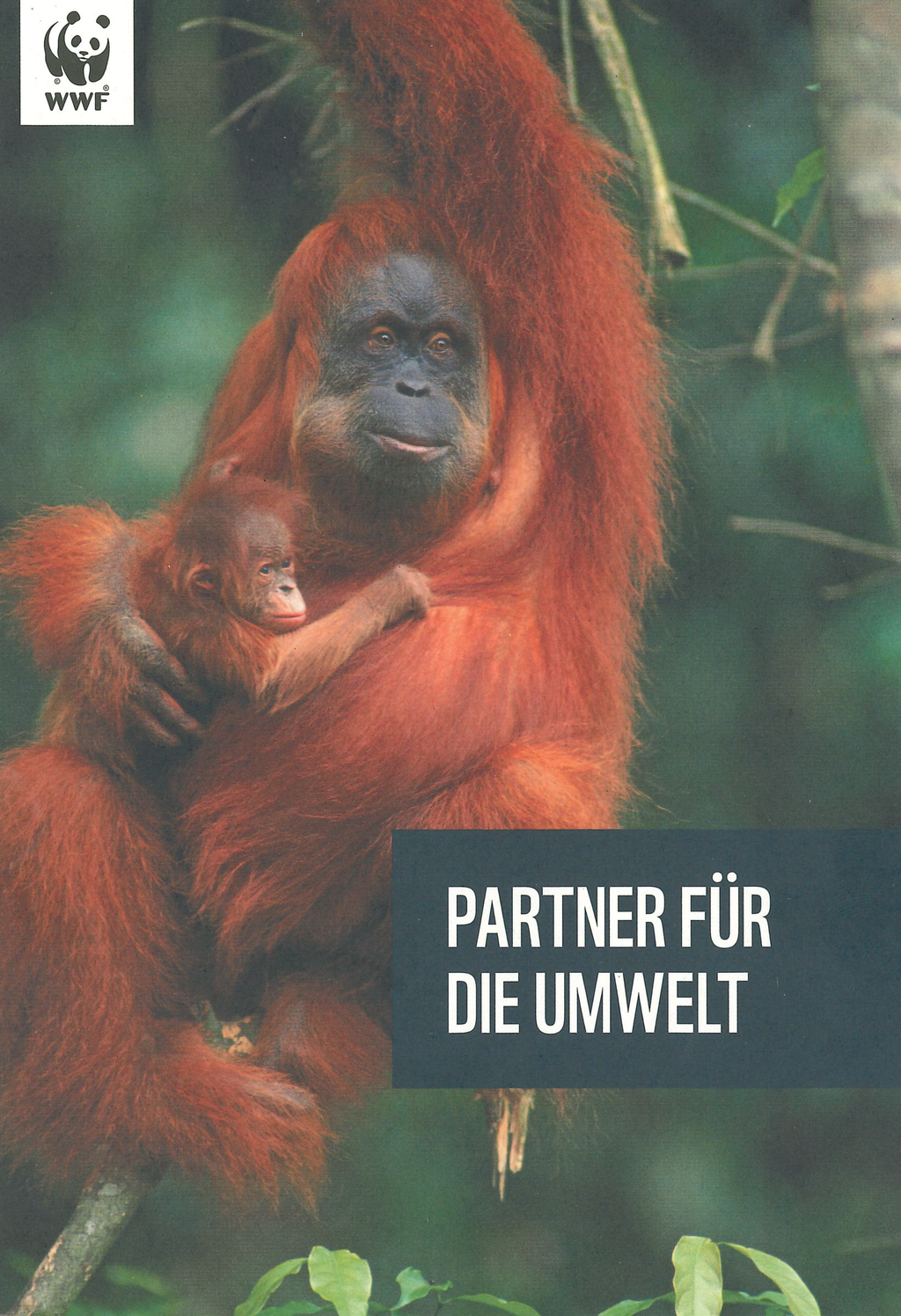 WWF Spende im Jahr 2025